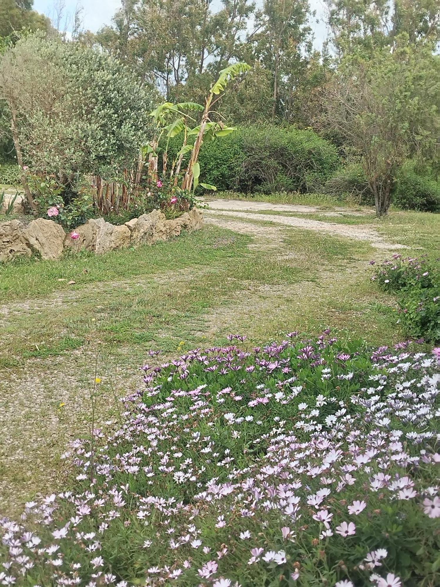 Camera Serraona Alghero Exteriör bild
